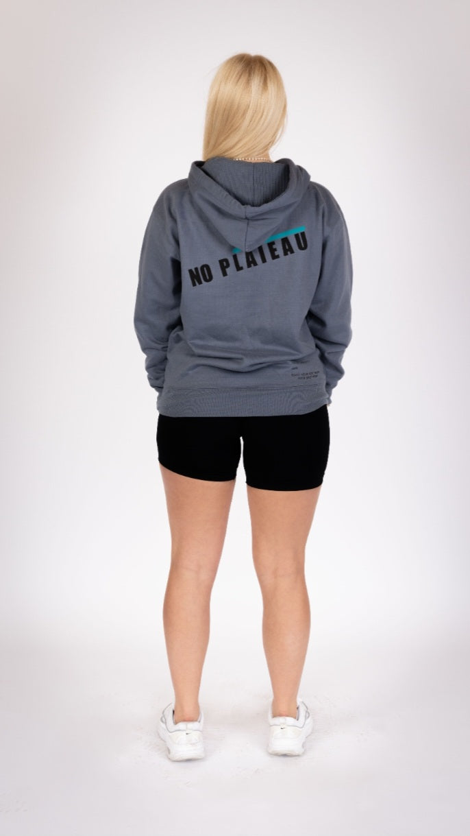 No Plateau Definition Hoodie in Blue—back view